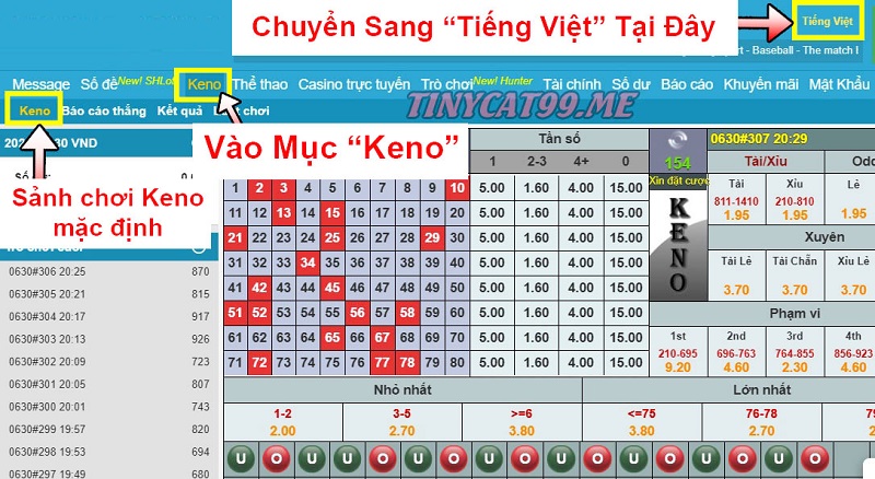 Hướng dẫn cách chơi Keno trên Thabet